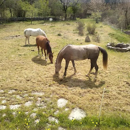 Hostel De Navacelles Blandas