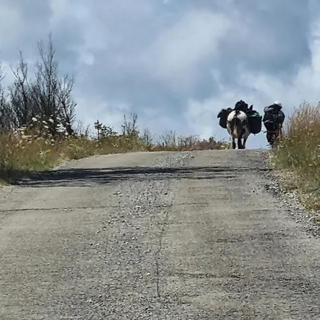 De Navacelles * Blandas