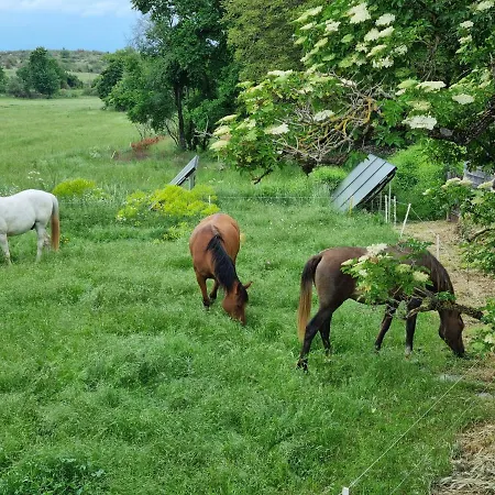 De Navacelles Blandas