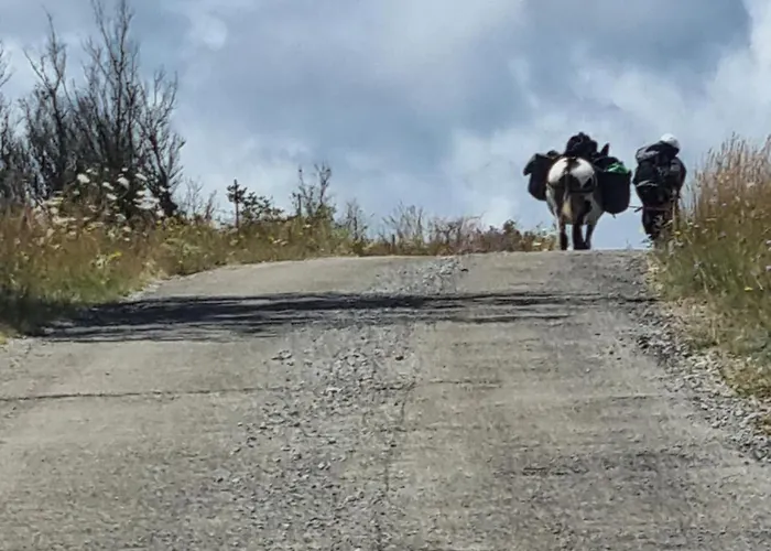 De Navacelles * Blandas